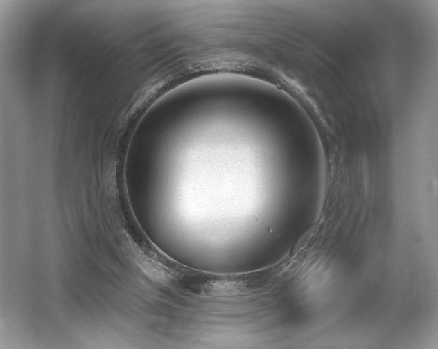 X0000062690154200512211445