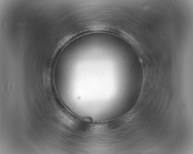 X0000062690155200512211445