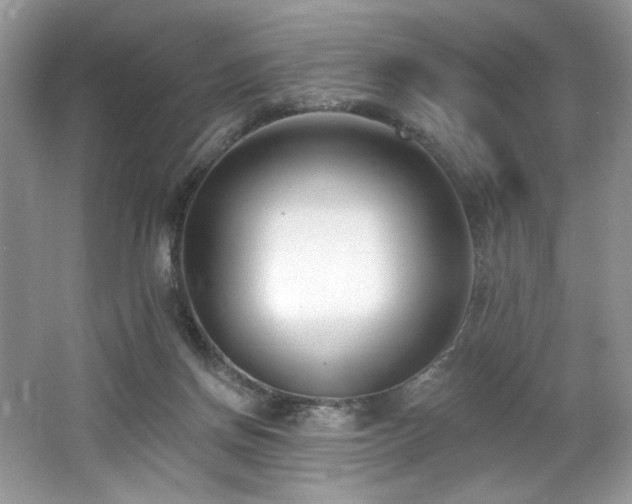 X0000062690166200512211446