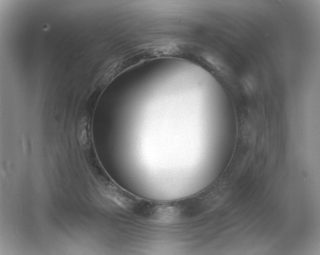 X0000062690169200512211446