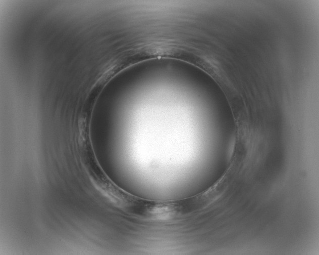 X0000062690171200512211446