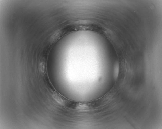 X0000062690177200512211446