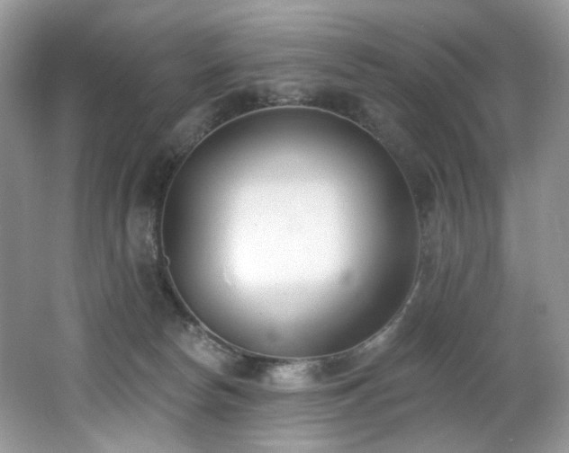 X0000062690178200512211446