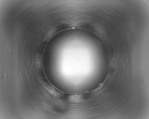 X0000062690179200512211446