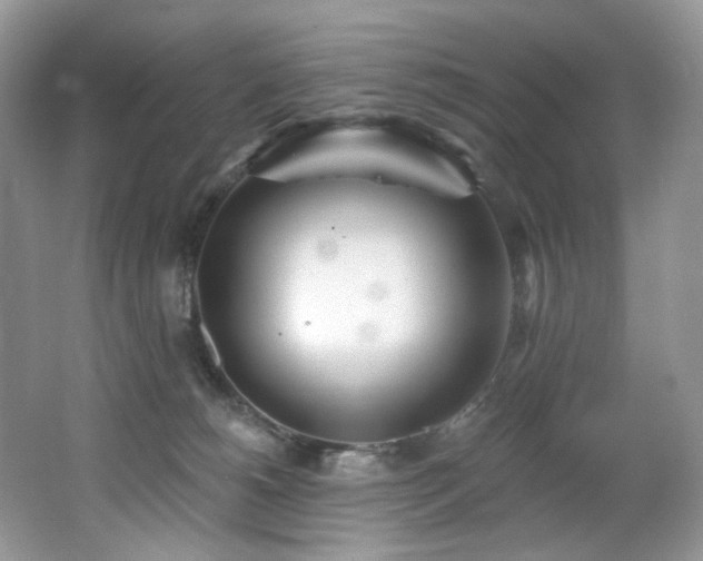 X0000062690180200512211446