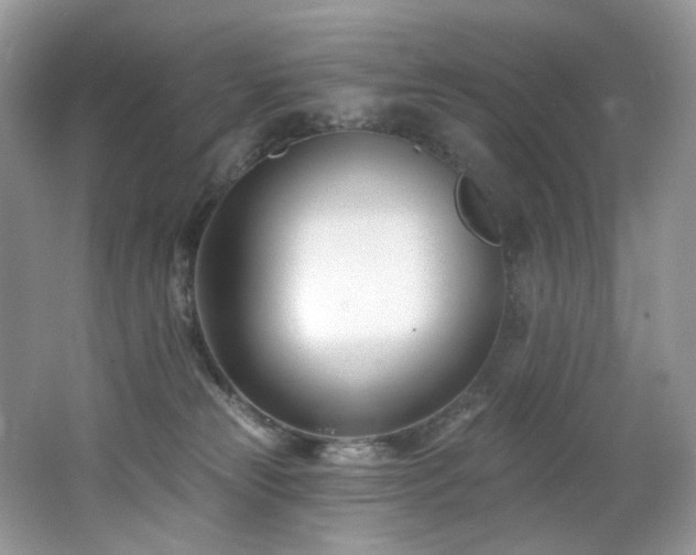 X0000062690181200512211446