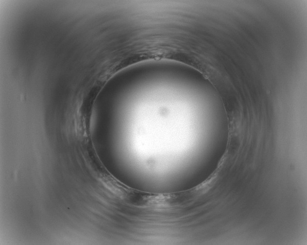 X0000062690182200512211446