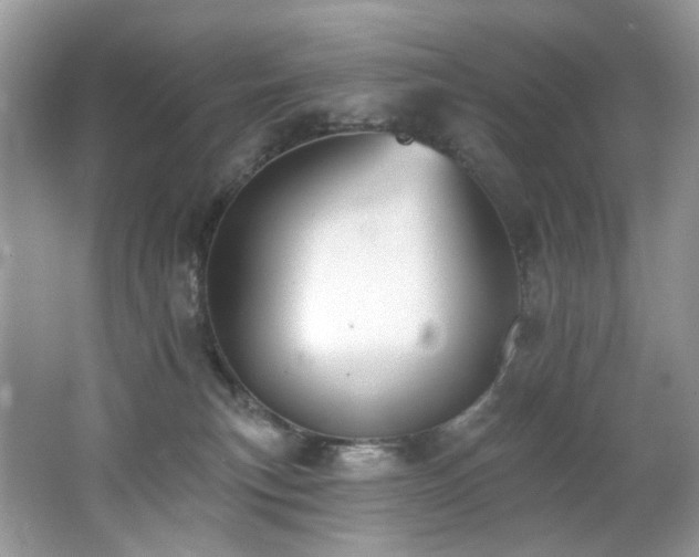 X0000062690183200512211446