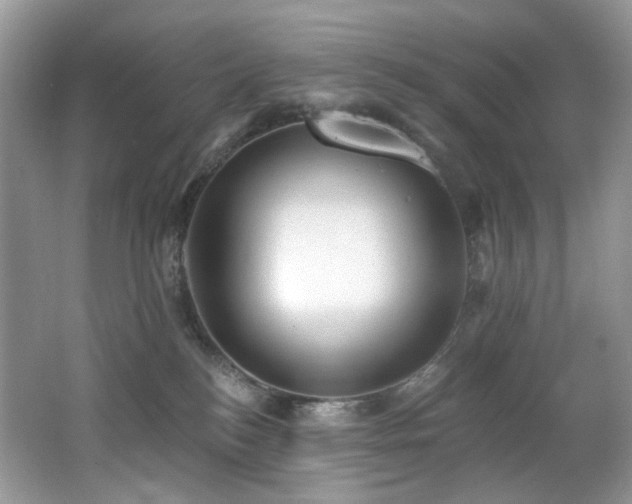 X0000062690184200512211446
