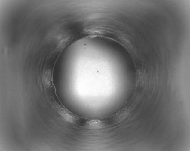 X0000062690189200512211446