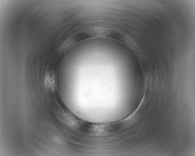 X0000062690190200512211446