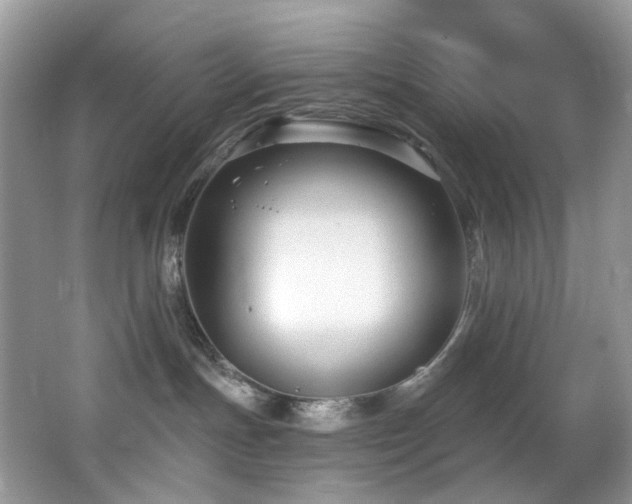 X0000062690191200512211446