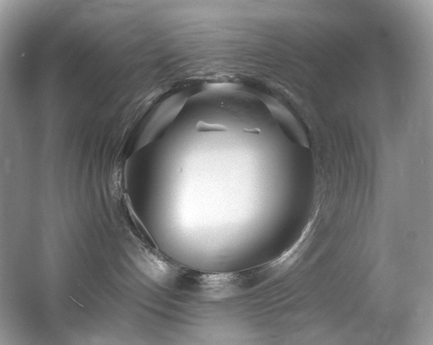 X0000062690192200512211446