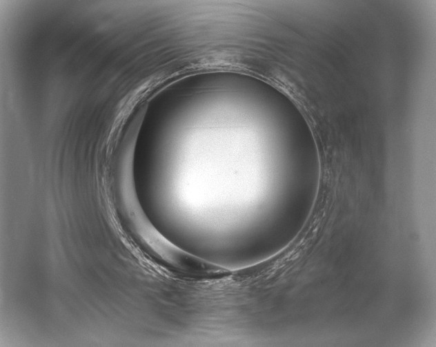X0000062690193200512211445