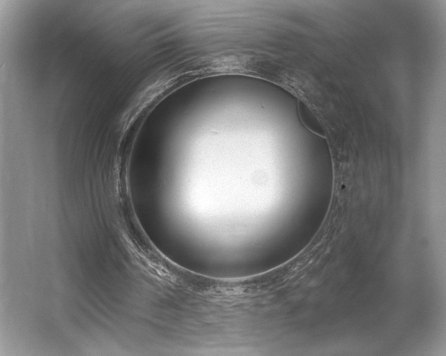 X0000062690194200512211445