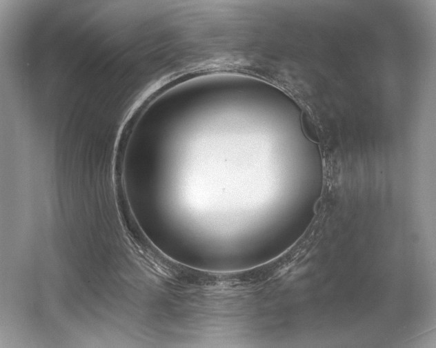 X0000062690196200512211445