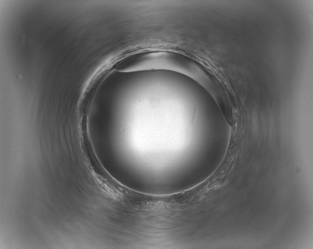 X0000062690197200512211445