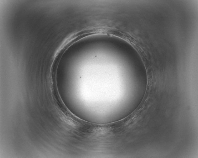 X0000062690198200512211445