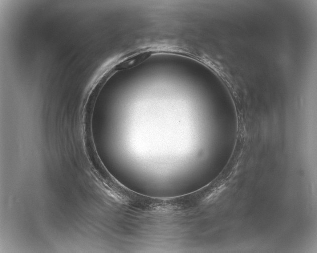 X0000062690199200512211445