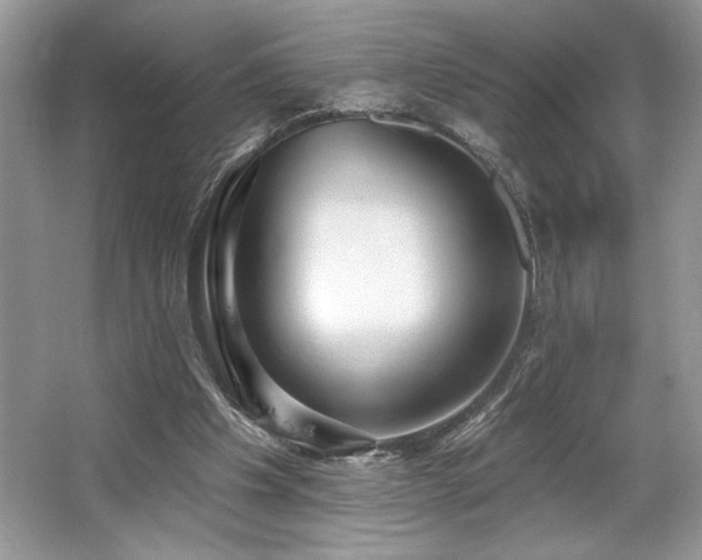 X0000062690201200512211445