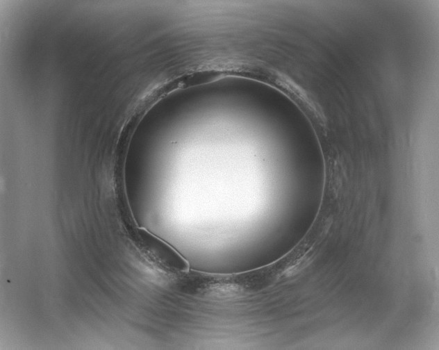 X0000062690203200512211445