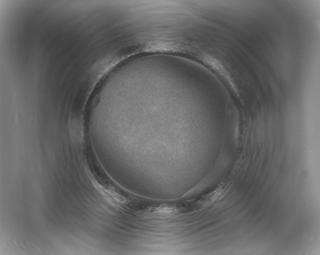 X0000062690204200512211445