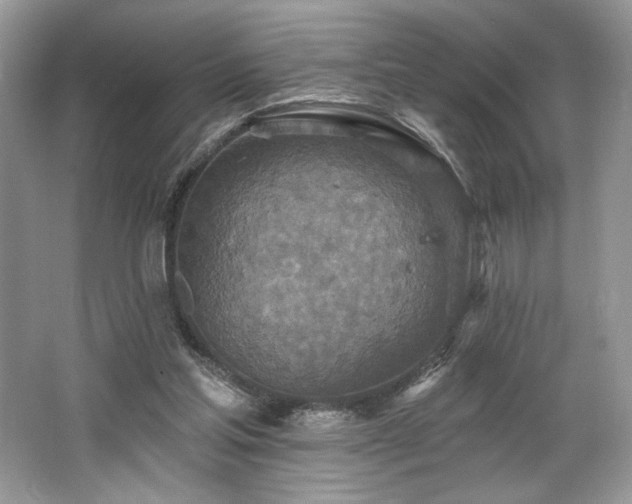 X0000062690205200512211445