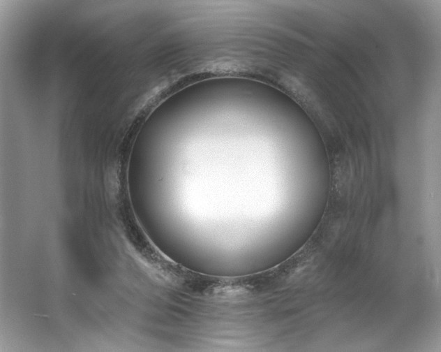 X0000062690208200512211445