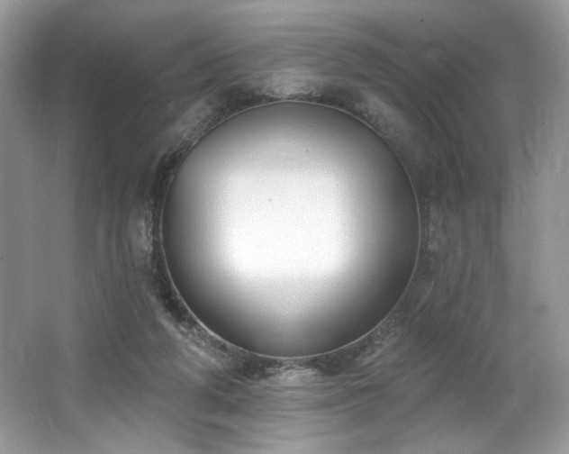 X0000062690210200512211445
