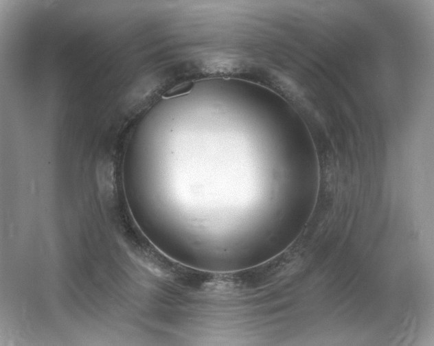 X0000062690211200512211445