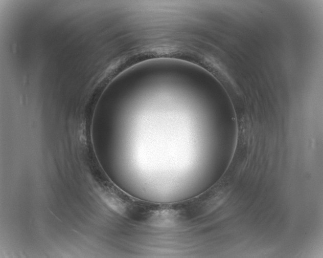 X0000062690212200512211445