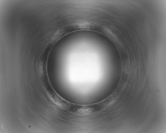 X0000062690213200512211445