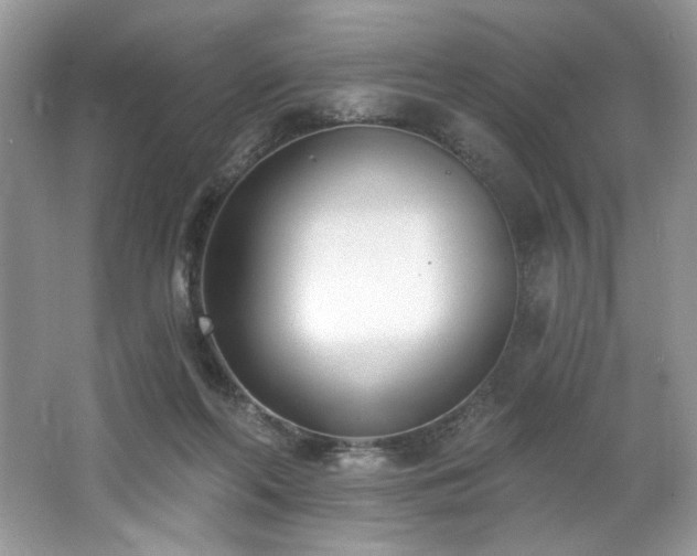 X0000062690214200512211445