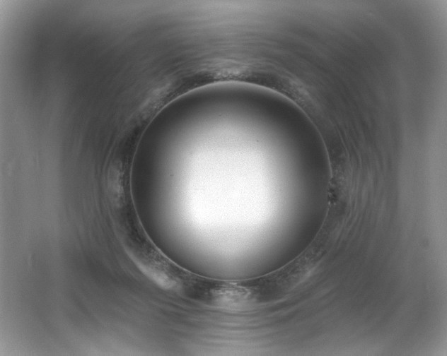 X0000062690215200512211445