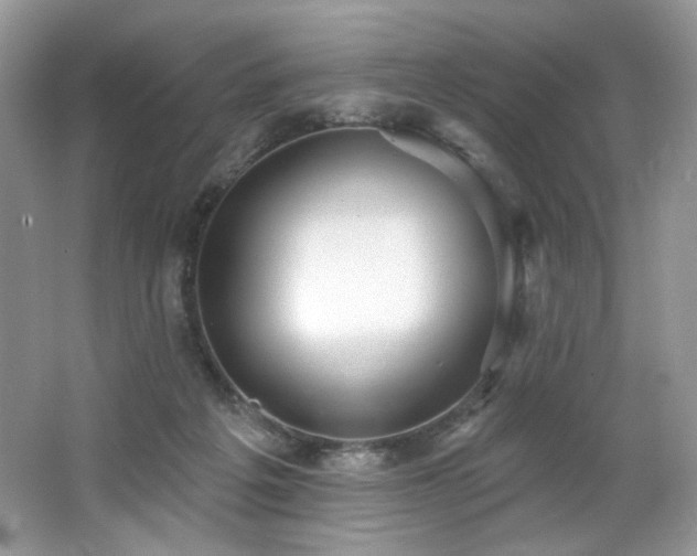 X0000062690217200512211445