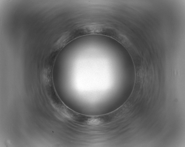 X0000062690218200512211445
