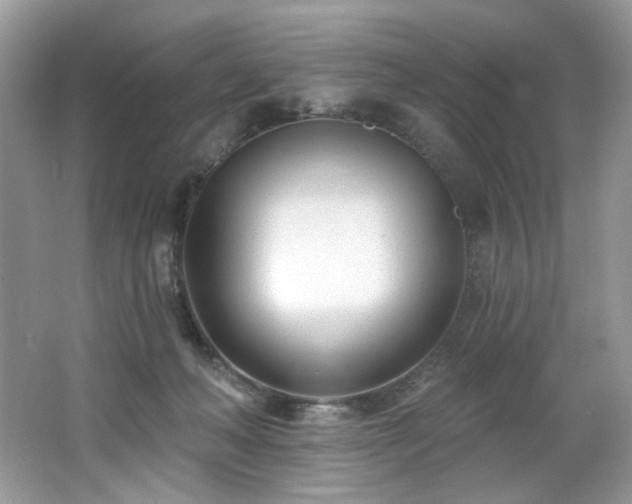 X0000062690222200512211445