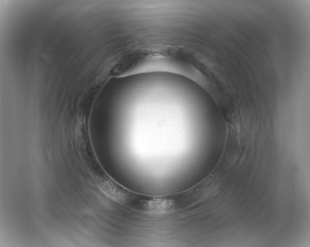 X0000062690225200512211444