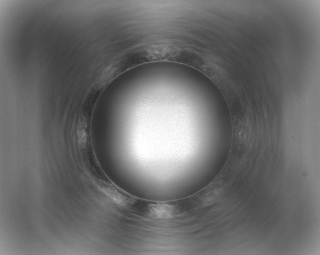X0000062690226200512211444