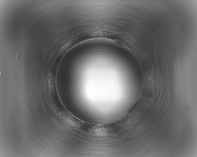 X0000062690228200512211444
