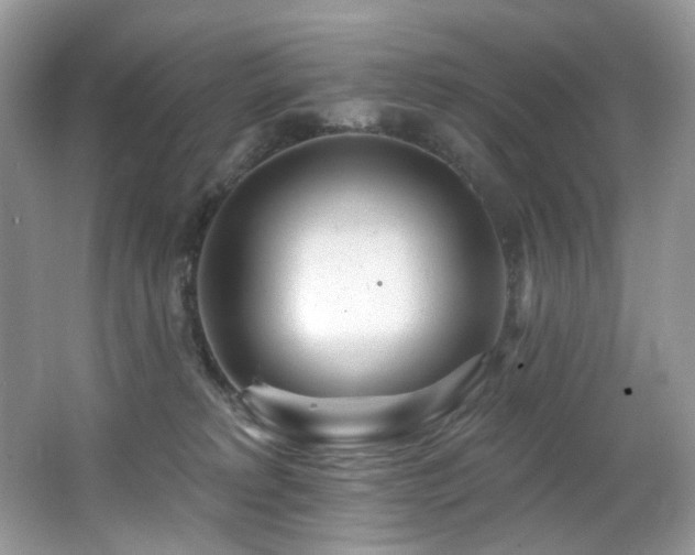 X0000062690229200512211444