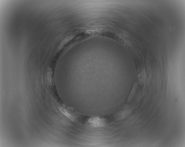 X0000062690231200512211444