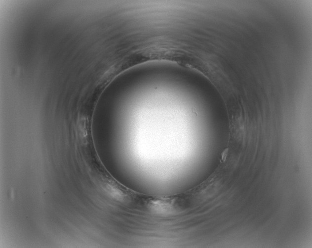 X0000062690232200512211444