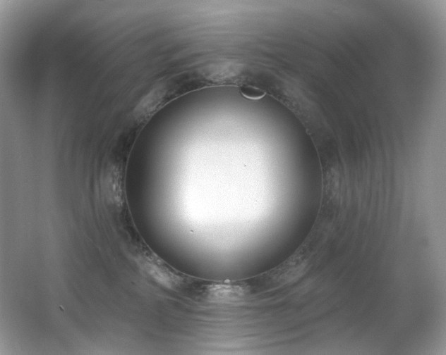 X0000062690234200512211444