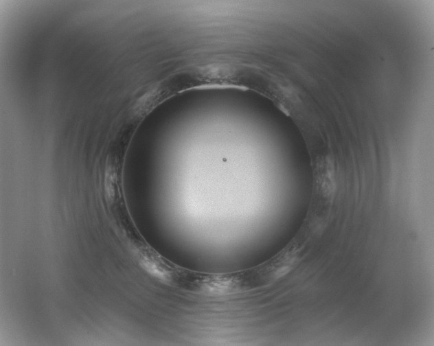X0000062690235200512211444