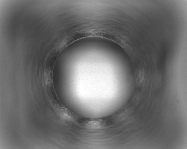 X0000062690236200512211444