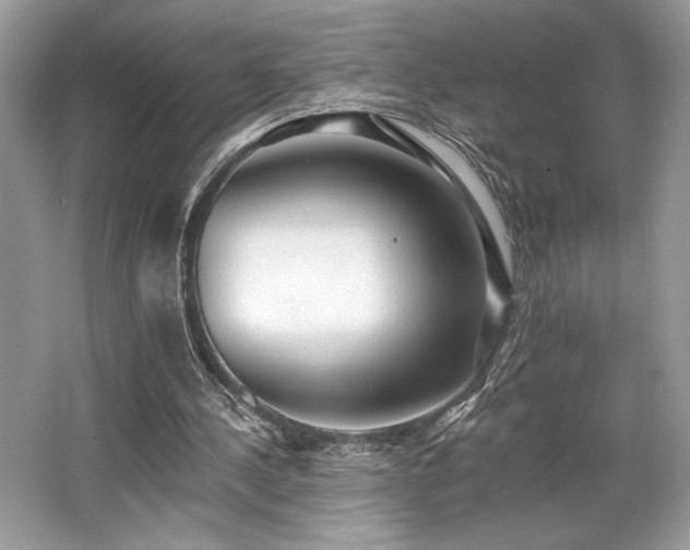 X0000062690244200512211443