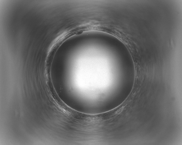 X0000062690245200512211443