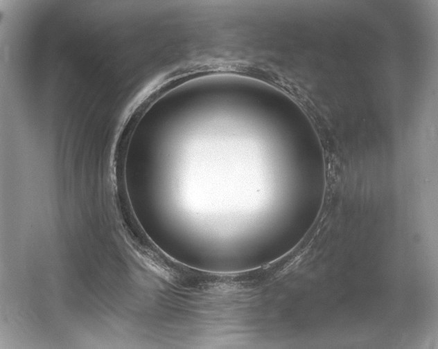 X0000062690246200512211443