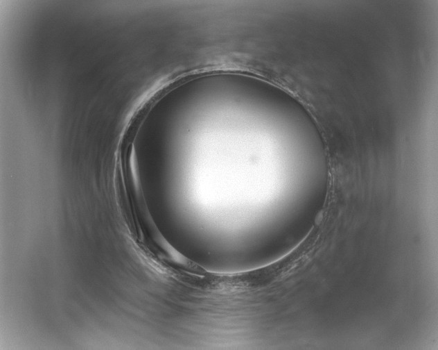 X0000062690248200512211444